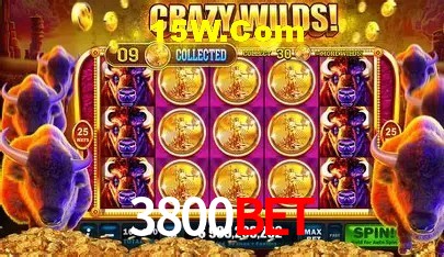 Exclusive Offers 3800Bet
